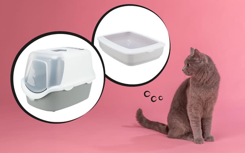 Bild von Toilettenregeln für Stubentiger